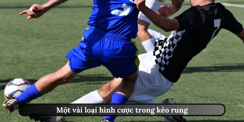 Các loại hình cược trong kèo rung FUN88