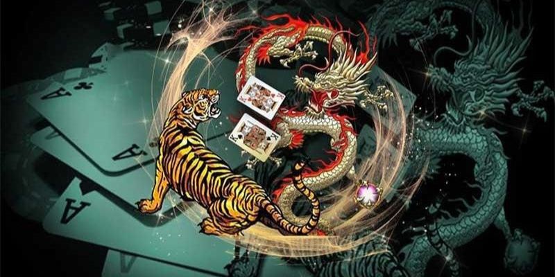 Những sai lầm khi soi cầu rồng hổ FUN88